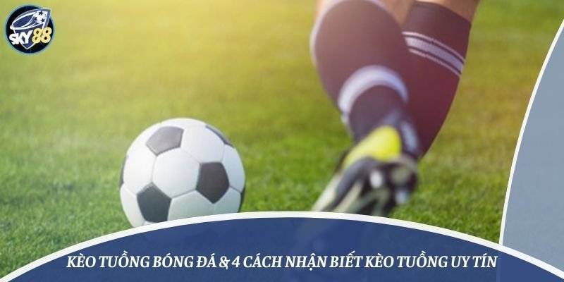 Hướng dẫn chơi trò chơi câu cá trực tuyến trên ứng dụng di động Sk88 - Sk88